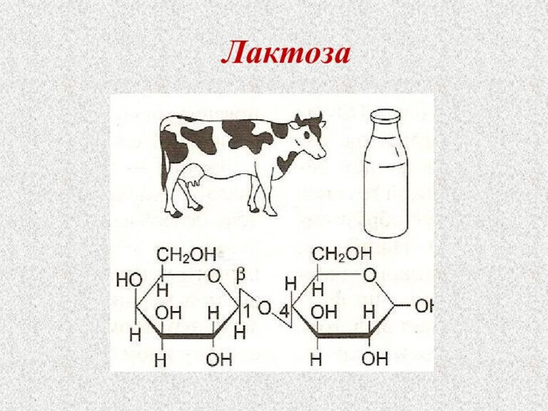 Что такое лактоза и в каких продуктах содержится лактоза