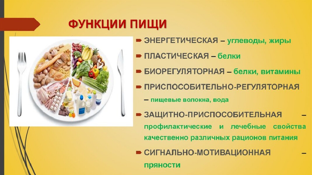 Какие продукты содержат белок, который усваивается легче всего